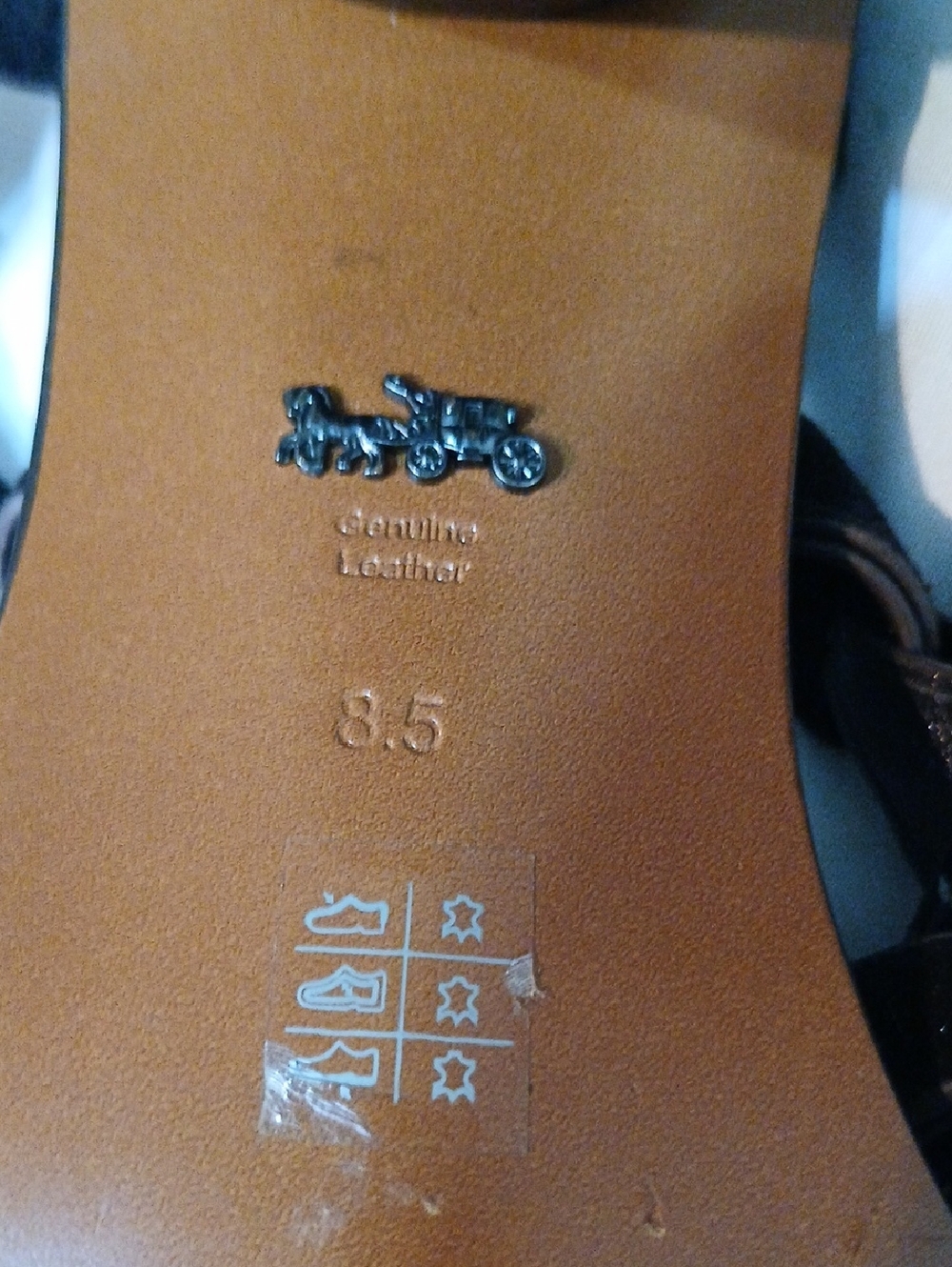 Coach - Picture 4 of 5